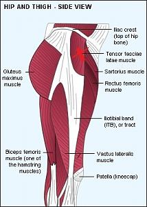 Injection FAQ-e46be_orig-hip_and_thigh-jpg