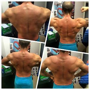 Making Weight for a show in 3 weeks-2-weeks-jpg