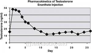 Test E cycle-testenan-jpg